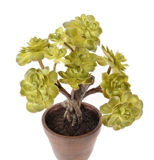 Succulente artificielle en pot terre cuite - plante d'intérieur - H.35cm