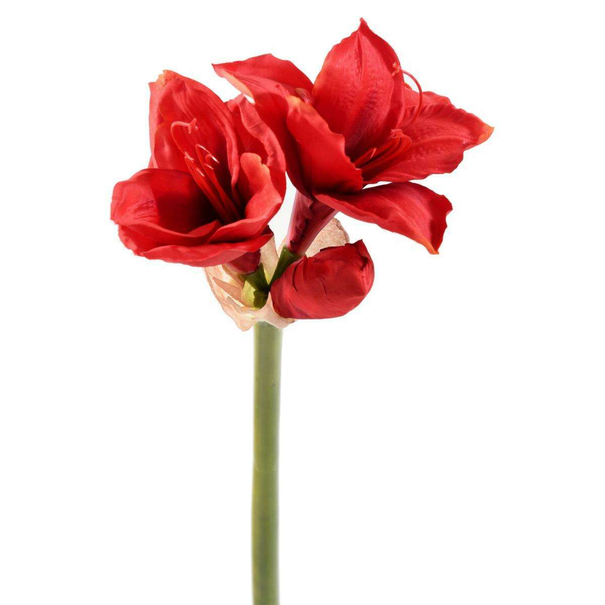 Amaryllis artificielle à la tige 2 fleurs - composition florale - H.75cm rouge