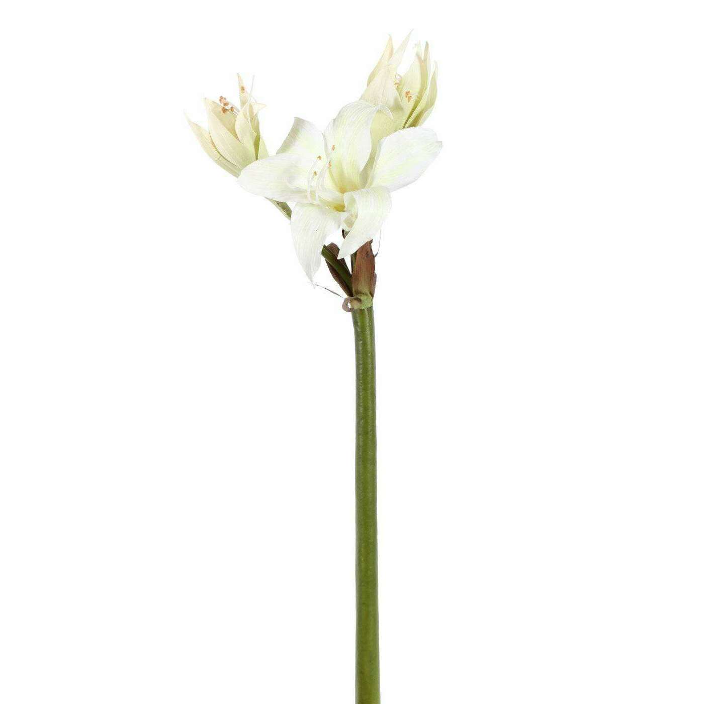 Amaryllis artificielle sauvage 1F 2B - composition florale - H.60cm vert blanc