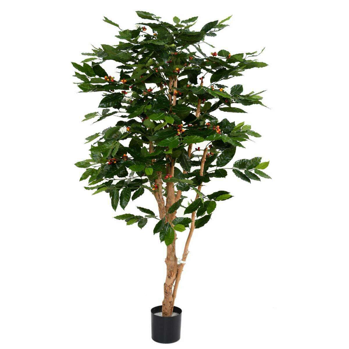 Arbre artificiel Caféier fleurs tronc noueux - plante d'intérieur - H.175cm