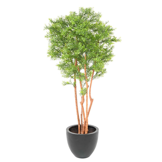 Arbre artificiel Eucalyptus Tree UV - plante intérieur extérieur - H.180cm