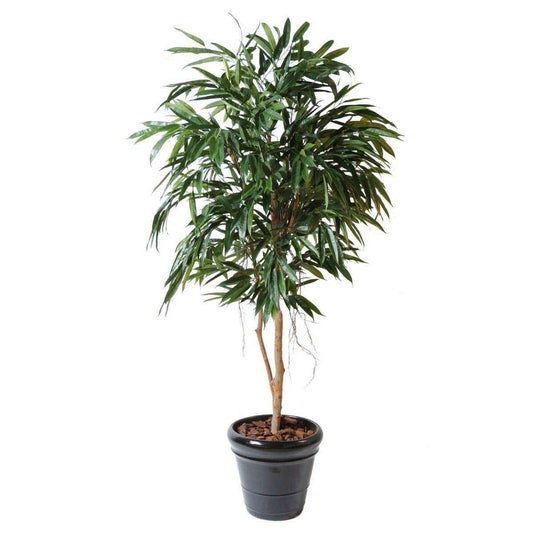 Arbre artificiel Ficus Alii royal - plante semi-naturelle intérieur - H.190cm