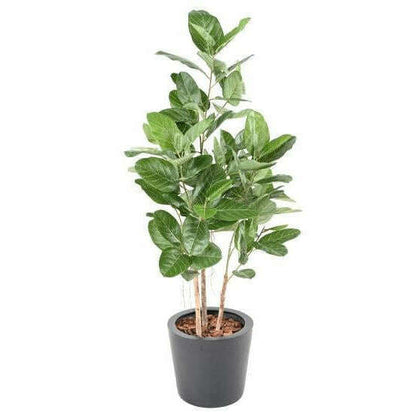 Arbre artificiel Ficus Audrey - plante synthétique d'intérieur - H.150cm