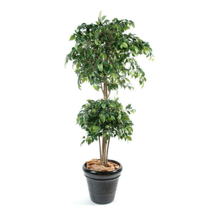 Arbre artificiel Ficus double boule - décoration d'intérieur - H.150cm