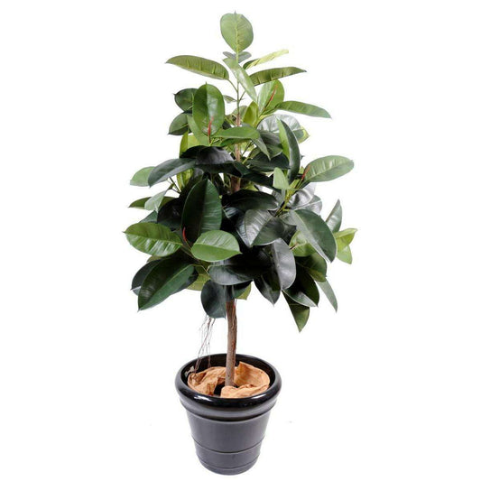 Arbre artificiel Ficus elastica - plante synthétique - H.150cm