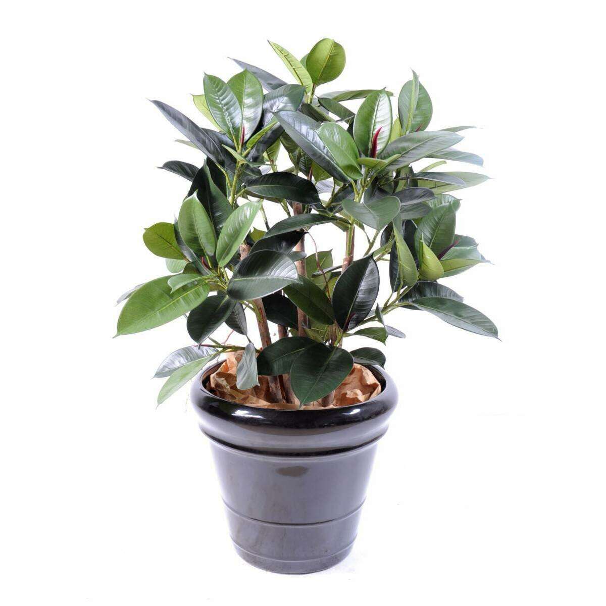 Arbre artificiel Ficus elastica buisson - plante synthétique - H.90cm vert