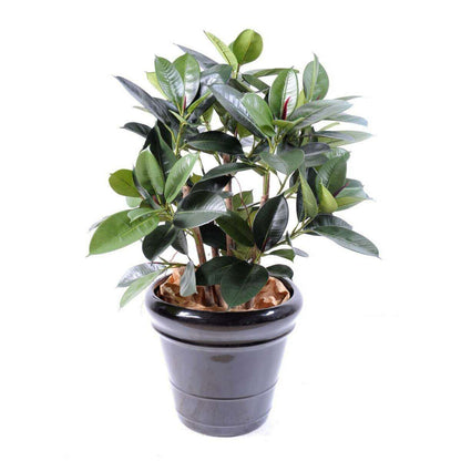 Arbre artificiel Ficus elastica buisson - plante synthétique - H.90cm vert