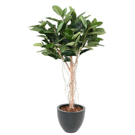 Arbre artificiel Ficus Elastica tête - plante synthétique d'intérieur - H.160cm vert