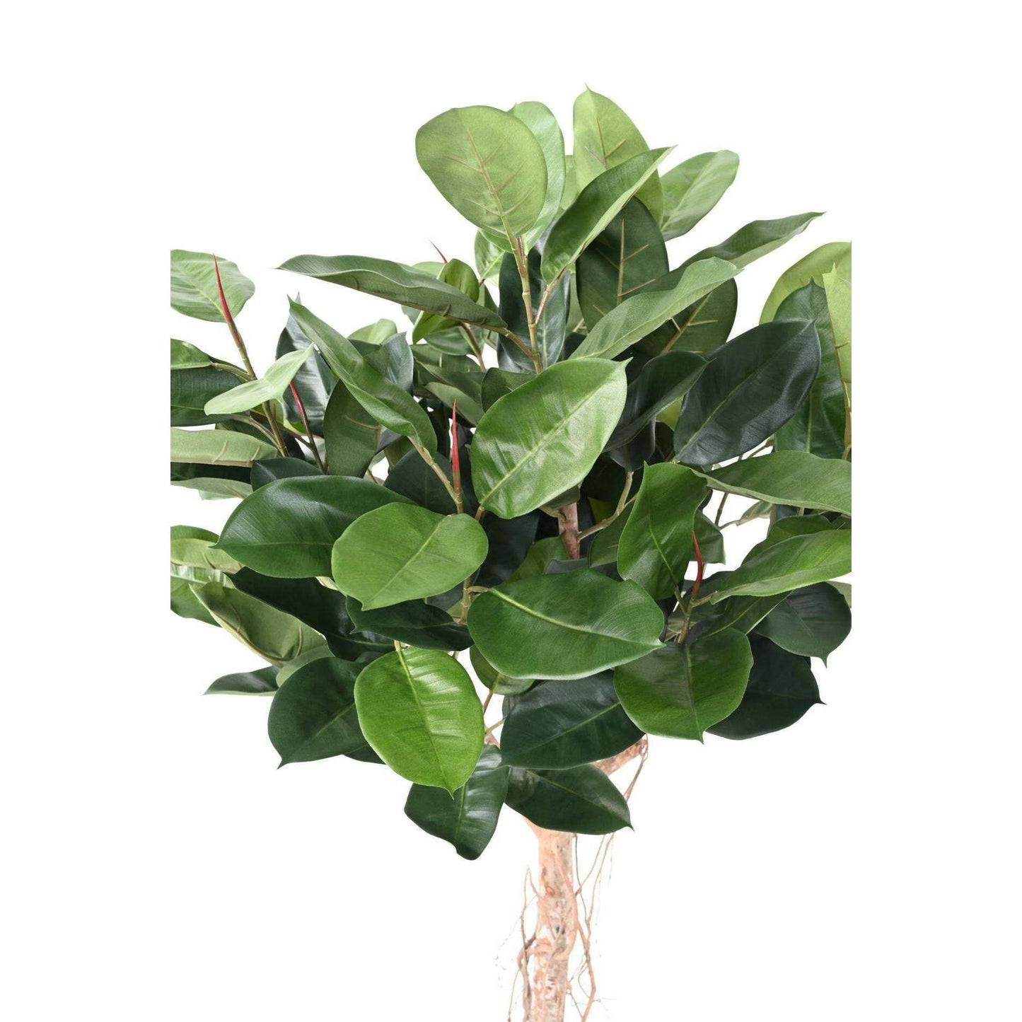 Arbre artificiel Ficus Elastica tête - plante synthétique d'intérieur - H.160cm vert