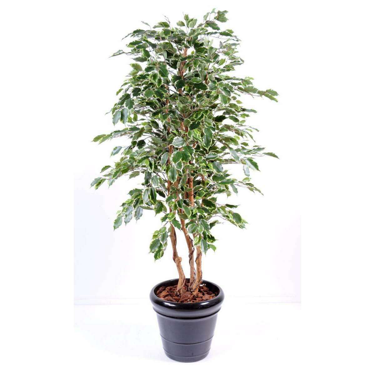 Arbre artificiel Ficus Exotica - plante d'intérieur - H.180cm vert/crème