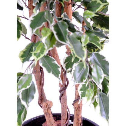 Arbre artificiel Ficus Exotica - plante d'intérieur - H.180cm vert/crème