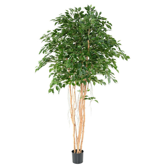 Arbre artificiel Ficus exotica MT - plante synthétique d'intérieur - H.260cm vert