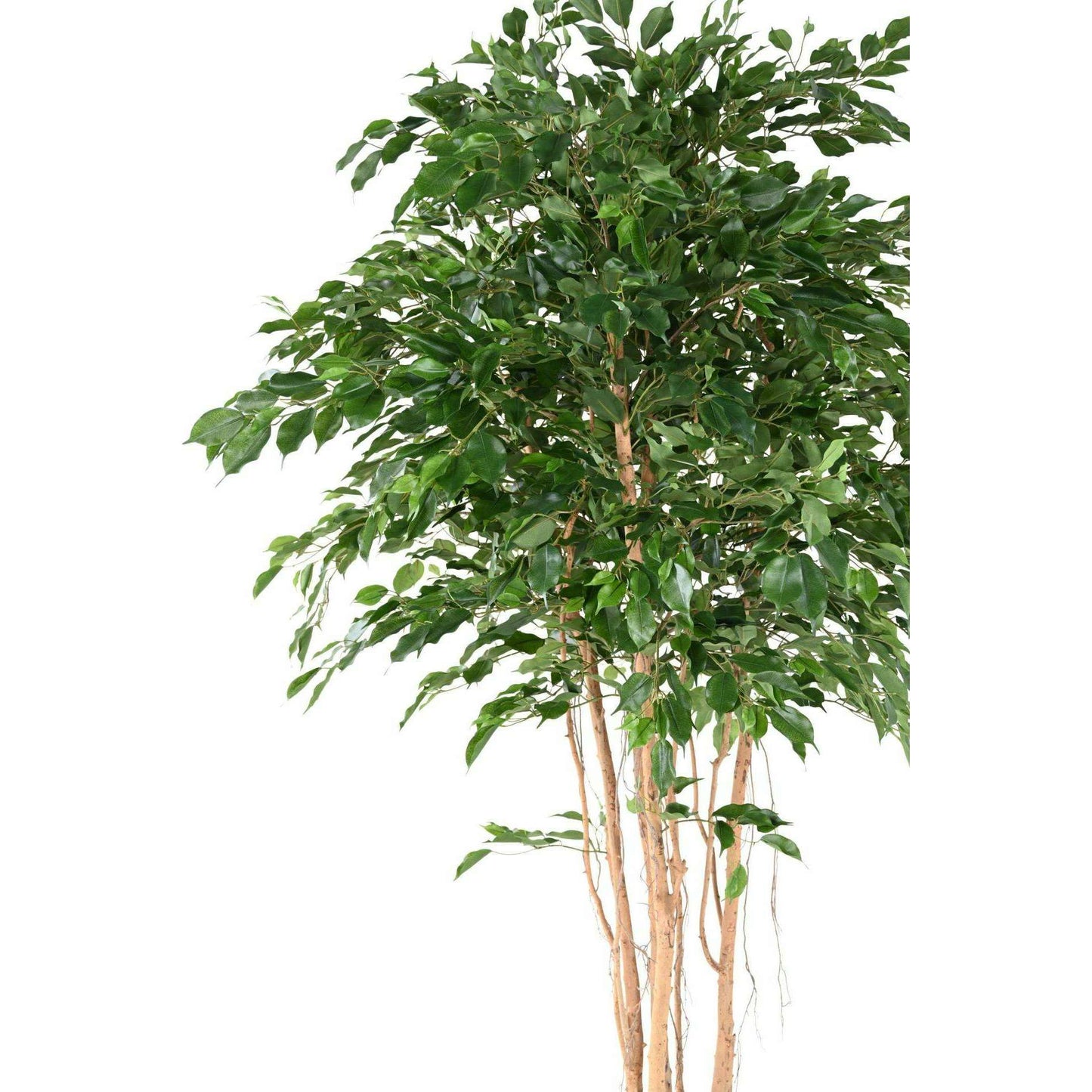 Arbre artificiel Ficus exotica MT - plante synthétique d'intérieur - H.260cm vert