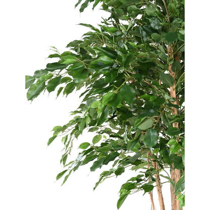 Arbre artificiel Ficus exotica MT - plante synthétique d'intérieur - H.260cm vert