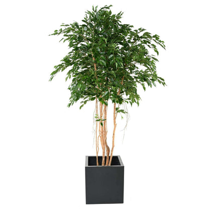 Arbre artificiel Ficus exotica MT - plante synthétique d'intérieur - H.260cm vert