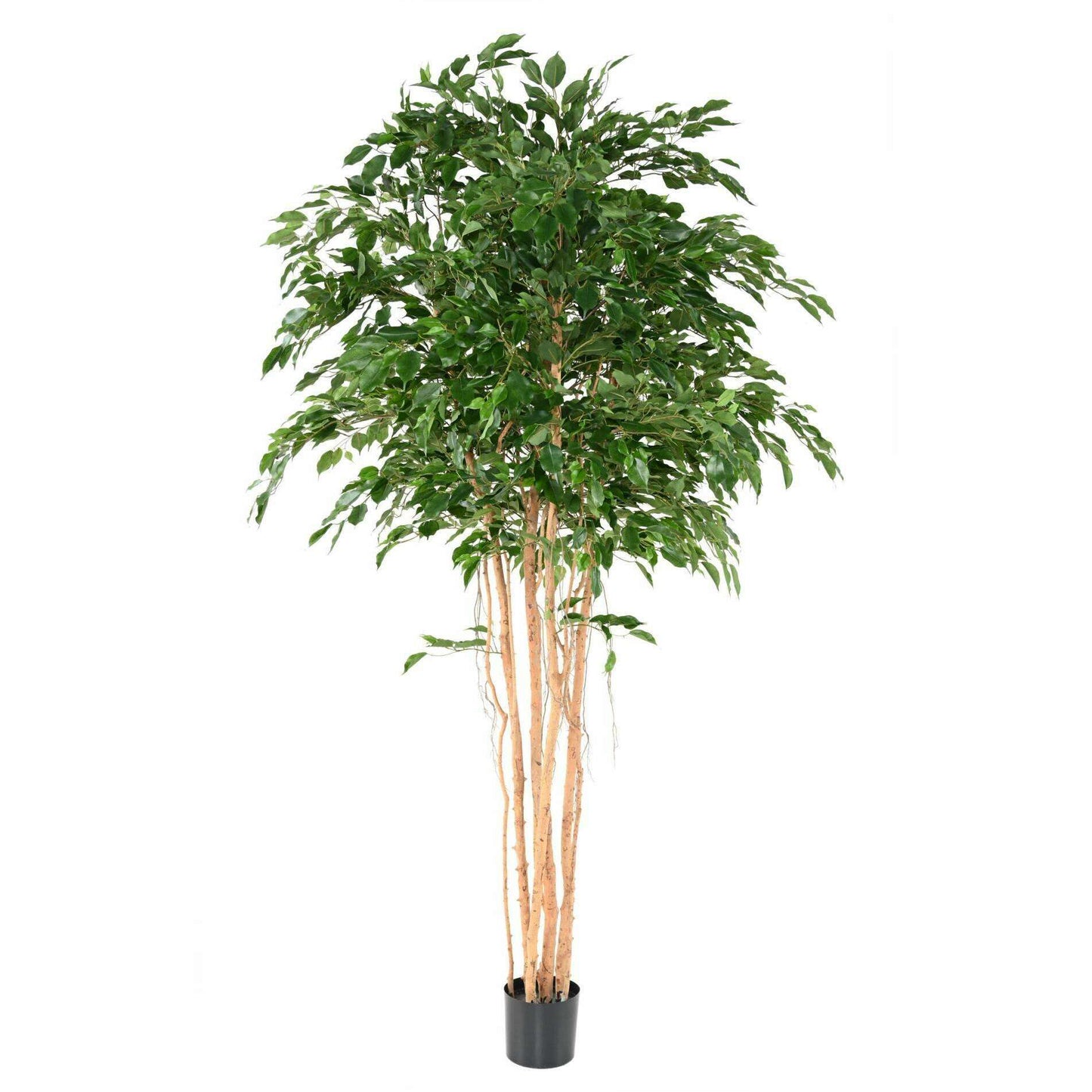 Arbre artificiel Ficus exotica MT - plante synthétique d'intérieur - H.260cm vert