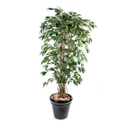 Arbre artificiel Ficus lianes grandes feuilles - plante d'intérieur - H.150cm vert