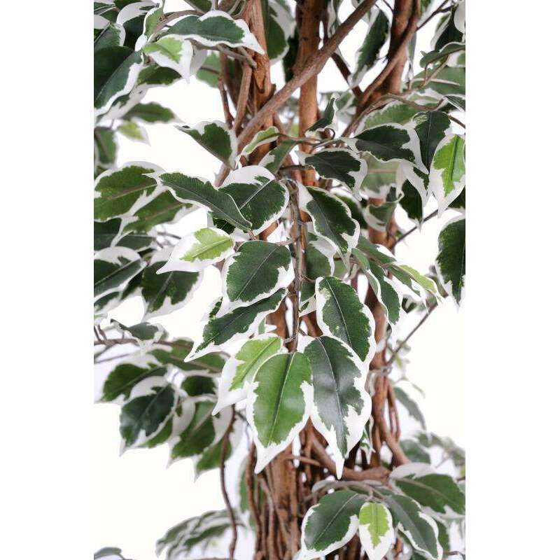 Arbre artificiel Ficus lianes grandes feuilles - plante d'intérieur - H.150cm vert/crème