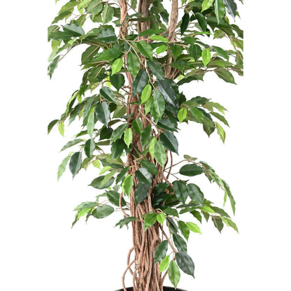 Arbre artificiel Ficus lianes grandes feuilles - plante d'intérieur - H.180cm vert