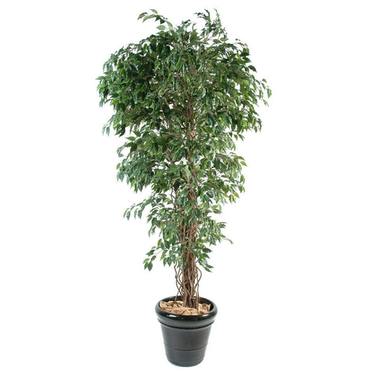 Arbre artificiel Ficus lianes petites feuilles - plante d'intérieur - H.150cm vert