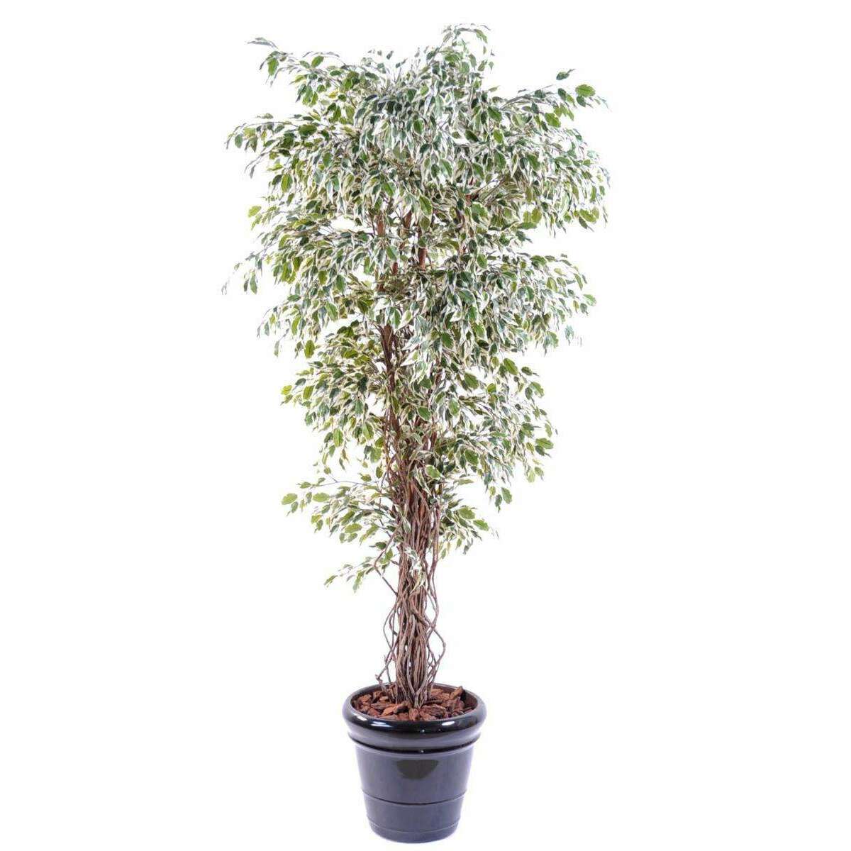 Arbre artificiel Ficus lianes petites feuilles - plante d'intérieur - H.150cm vert/crème