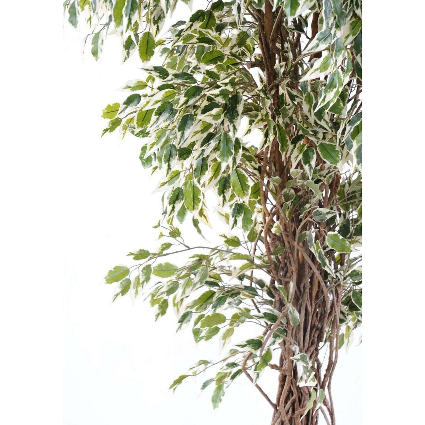 Arbre artificiel Ficus lianes petites feuilles - plante d'intérieur - H.150cm vert/crème