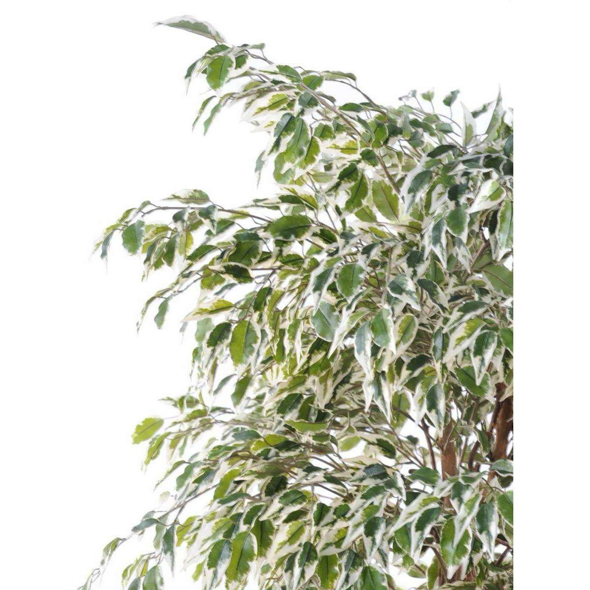 Arbre artificiel Ficus lianes petites feuilles - plante d'intérieur - H.150cm vert/crème