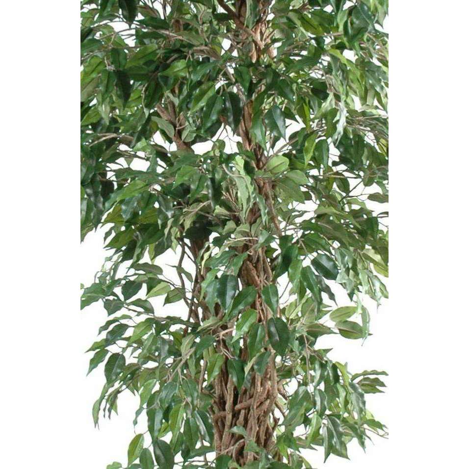 Arbre artificiel Ficus lianes petites feuilles - plante d'intérieur - H.210cm vert