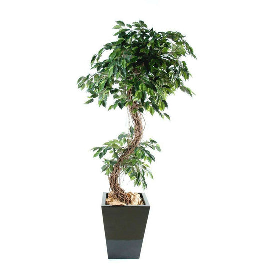 Arbre artificiel Ficus lianes S - plante d'intérieur - H.180cm vert