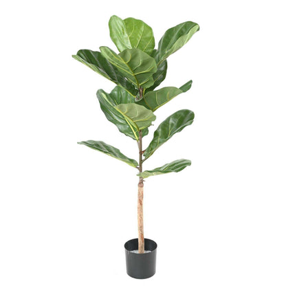 Arbre artificiel Ficus Lyrata - plante semi-naturelle d'intérieur - H.100cm vert