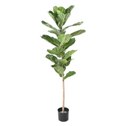 Arbre artificiel Ficus Lyrata - plante semi-naturelle d'intérieur - H.160cm vert