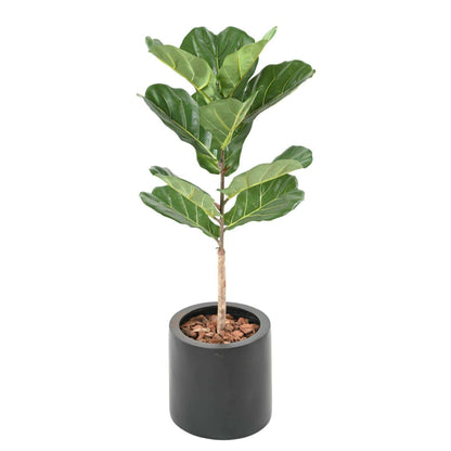 Arbre artificiel Ficus Lyrata - plante semi-naturelle d'intérieur - H.75cm vert