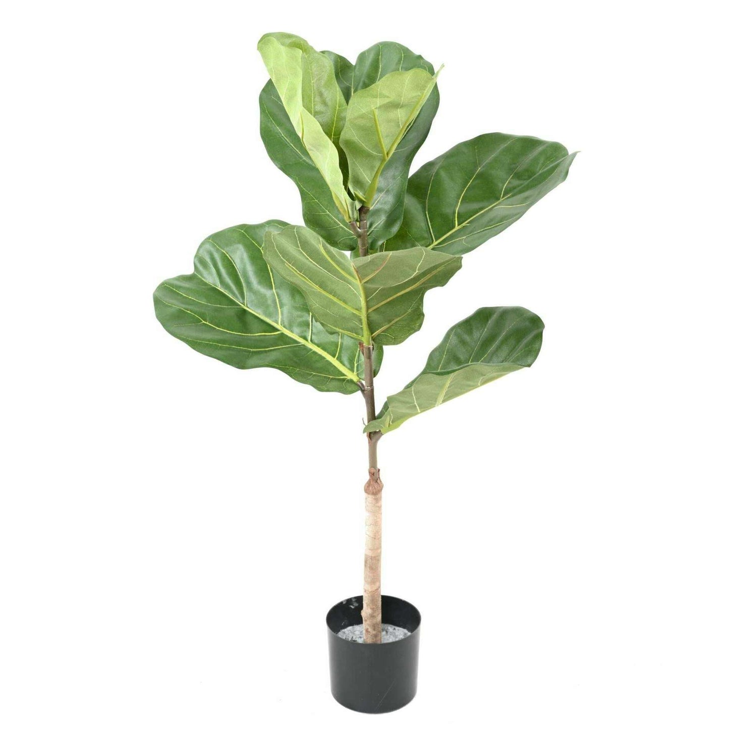 Arbre artificiel Ficus Lyrata - plante semi-naturelle d'intérieur - H.75cm vert