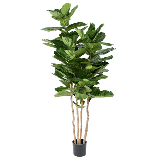 Arbre artificiel Ficus Lyrata multi GF - plante verte d'intérieur - H.210cm vert