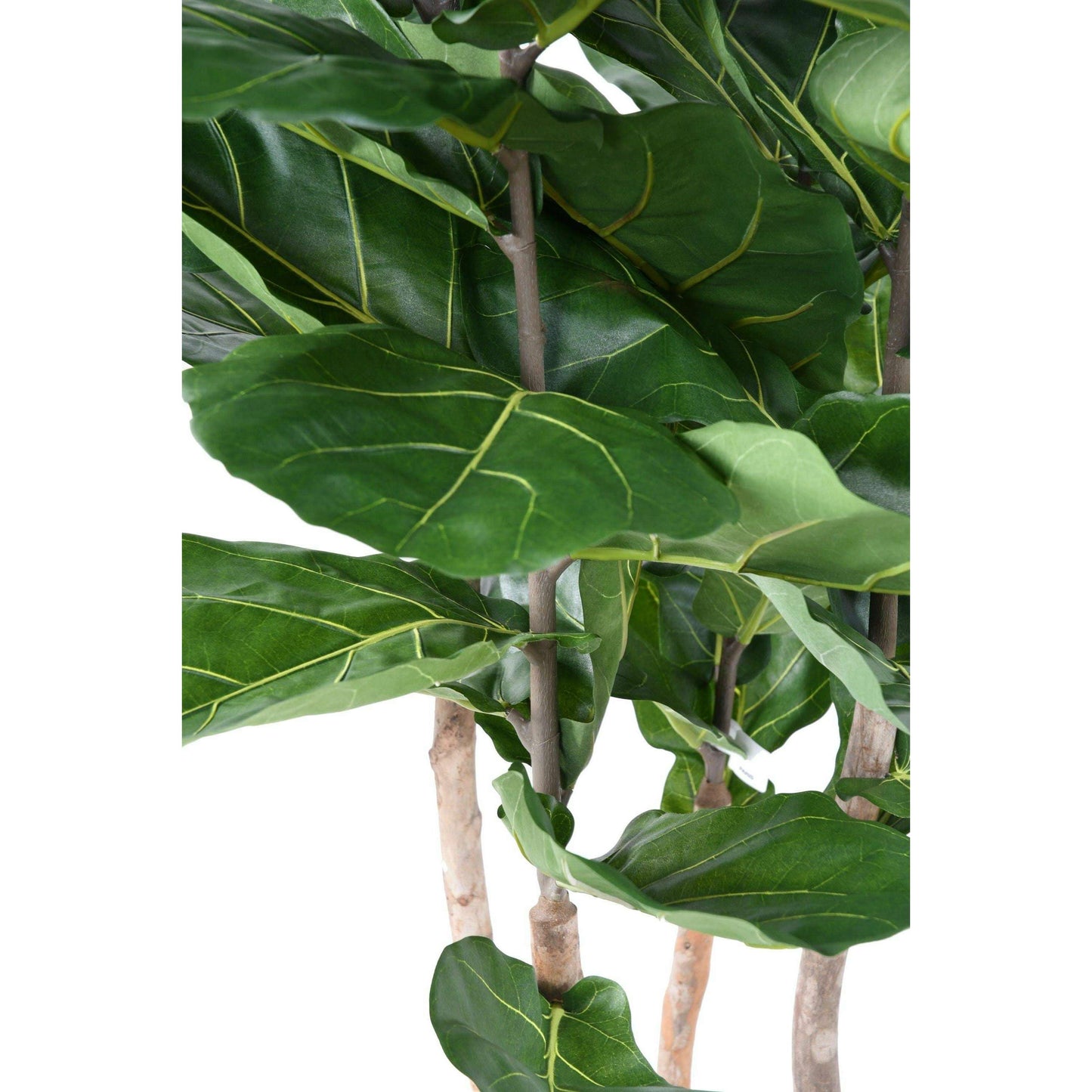 Arbre artificiel Ficus Lyrata multi GF - plante verte d'intérieur - H.210cm vert