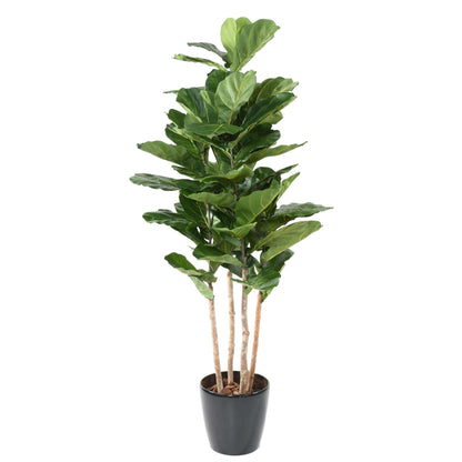 Arbre artificiel Ficus Lyrata multi GF - plante verte d'intérieur - H.210cm vert