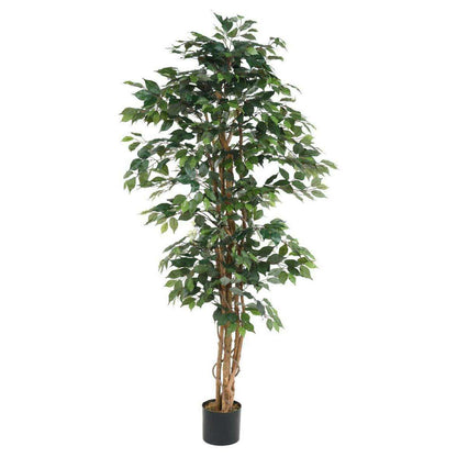 Arbre artificiel Ficus multi-troncs - plante synthétique intérieur - H.190cm vert