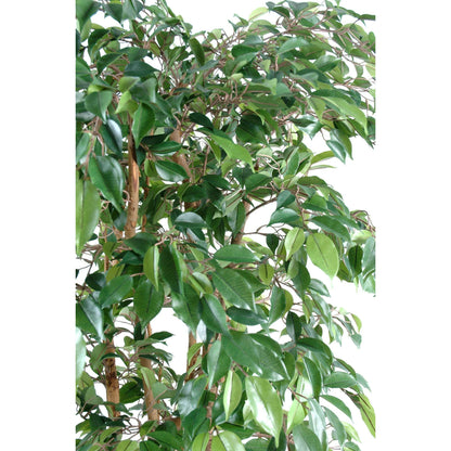 Arbre artificiel Ficus Natasja multi-troncs - plante synthétique intérieur - H.150cm