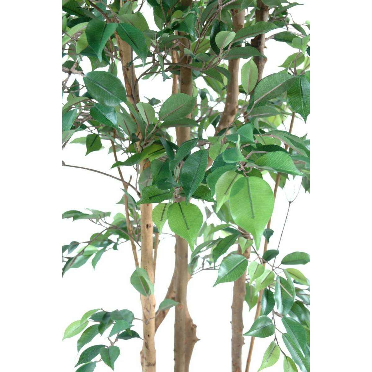 Arbre artificiel Ficus Natasja multi-troncs - plante synthétique intérieur - H.150cm