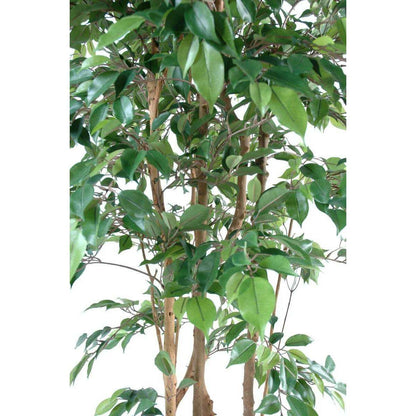 Arbre artificiel Ficus Natasja multi-troncs - plante synthétique intérieur - H.150cm