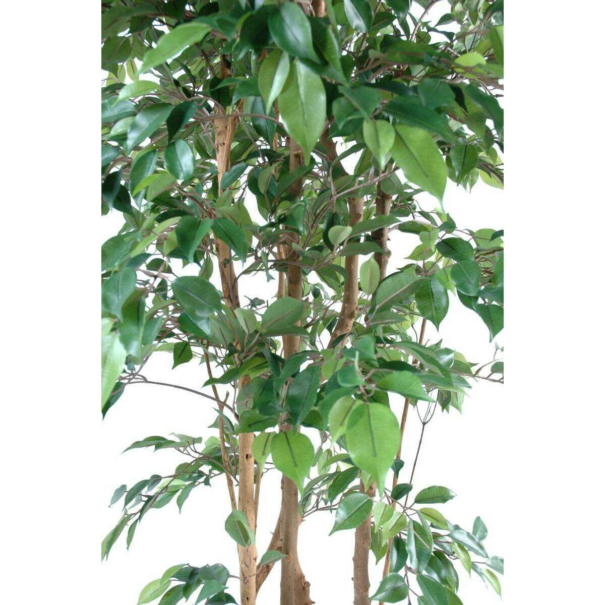 Arbre artificiel Ficus Natasja multi-troncs - plante synthétique intérieur - H.180cm