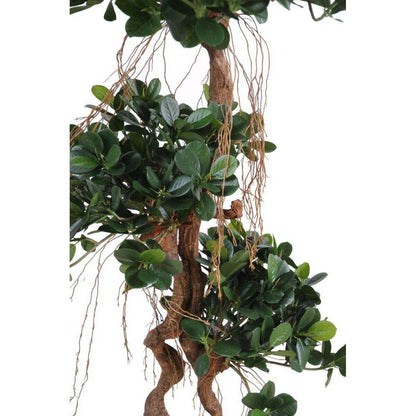 Arbre artificiel Ficus Panda Microcarpa - plante intérieur - H.140cm