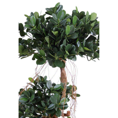 Arbre artificiel Ficus Panda Microcarpa - plante intérieur - H.140cm