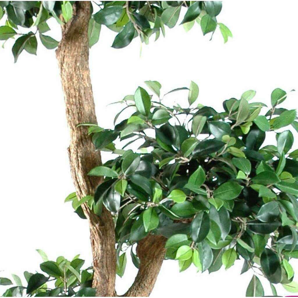 Arbre artificiel Ficus retusa crazy - plante synthétique - H.150cm vert