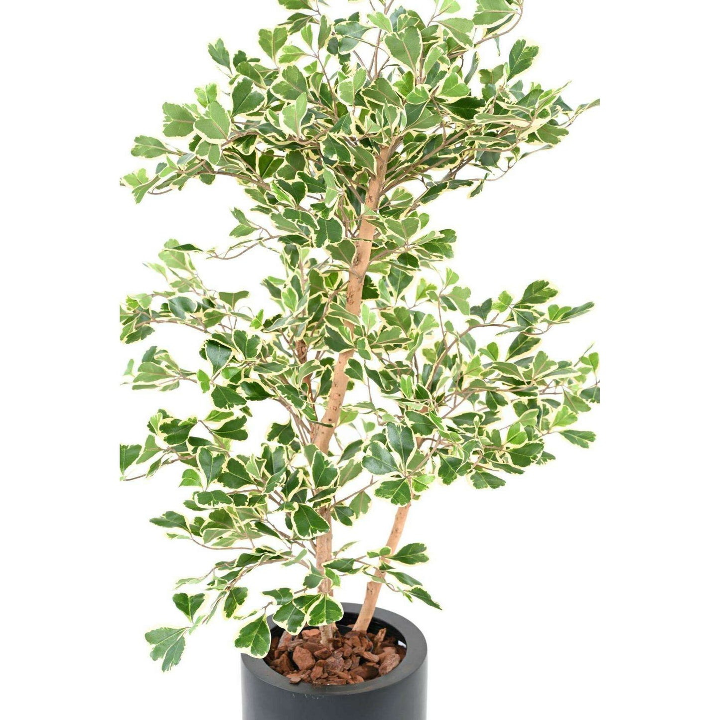 Arbre artificiel Ficus Triangularis - plante d'intérieur - H.120cm vert/crème