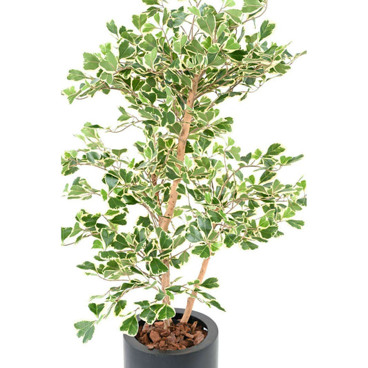 Arbre artificiel Ficus Triangularis - plante d'intérieur - H.120cm vert/crème