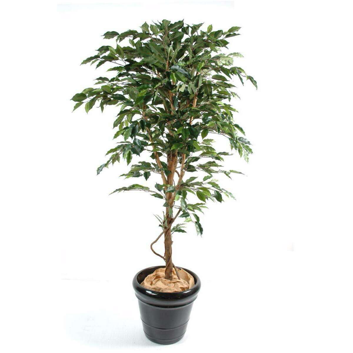 Arbre artificiel Ficus tronc simple - plante synthétique intérieur - H.120cm