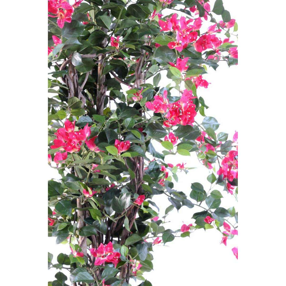 Arbre artificiel fleuri Bougainvillier - plante d'intérieur - H.180cm fuchsia