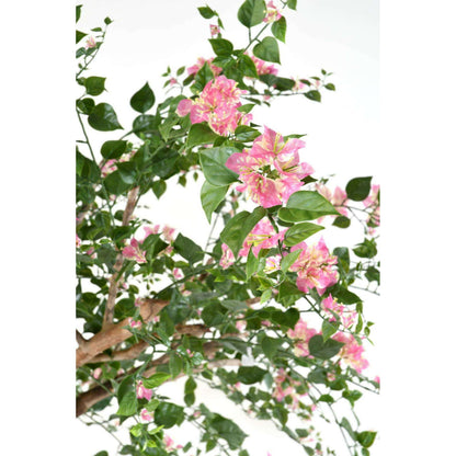 Arbre artificiel fleuri Bougainvillier Tree - plante d'intérieur - H.280cm rose