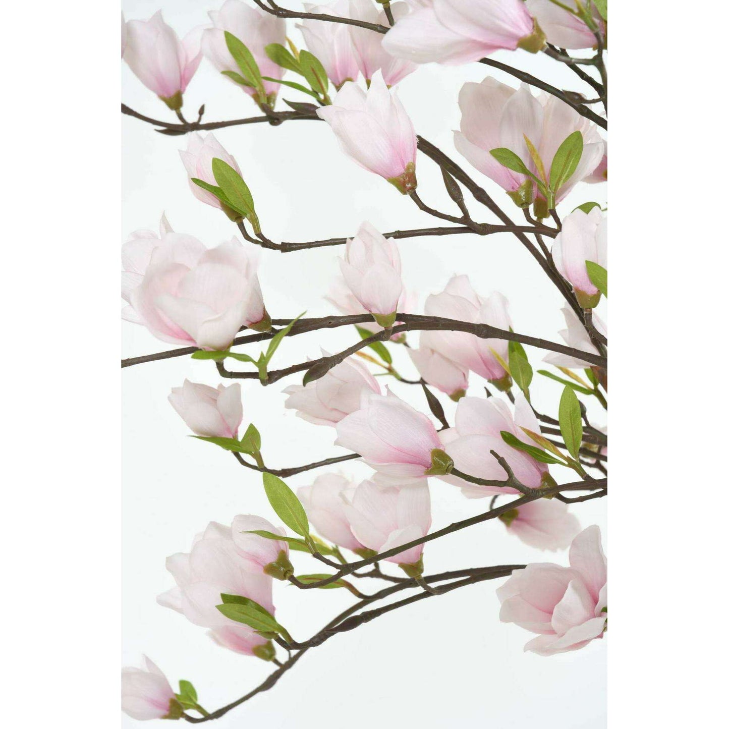 Arbre artificiel fleuri Magnolia Tulipier du Japon - plante d'intérieur - H.230cm blanc